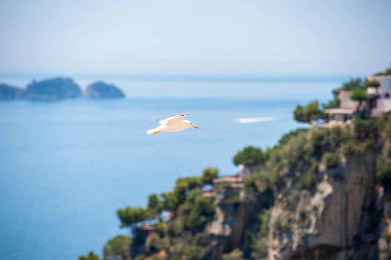 Bed and Breakfast Casa Caprile Positano Zewnętrze zdjęcie
